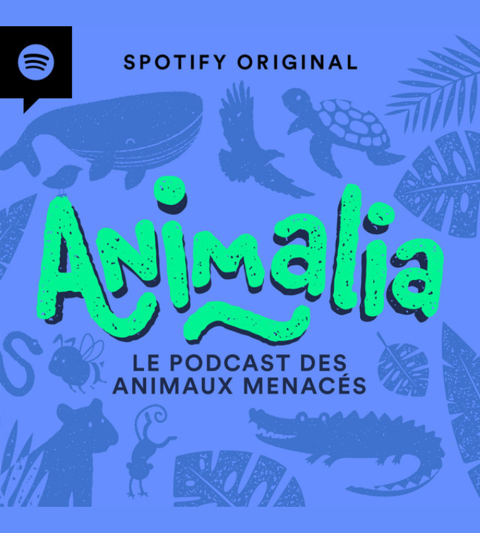 Animalia Studios Bellagio Mixage Podcast pour enfants