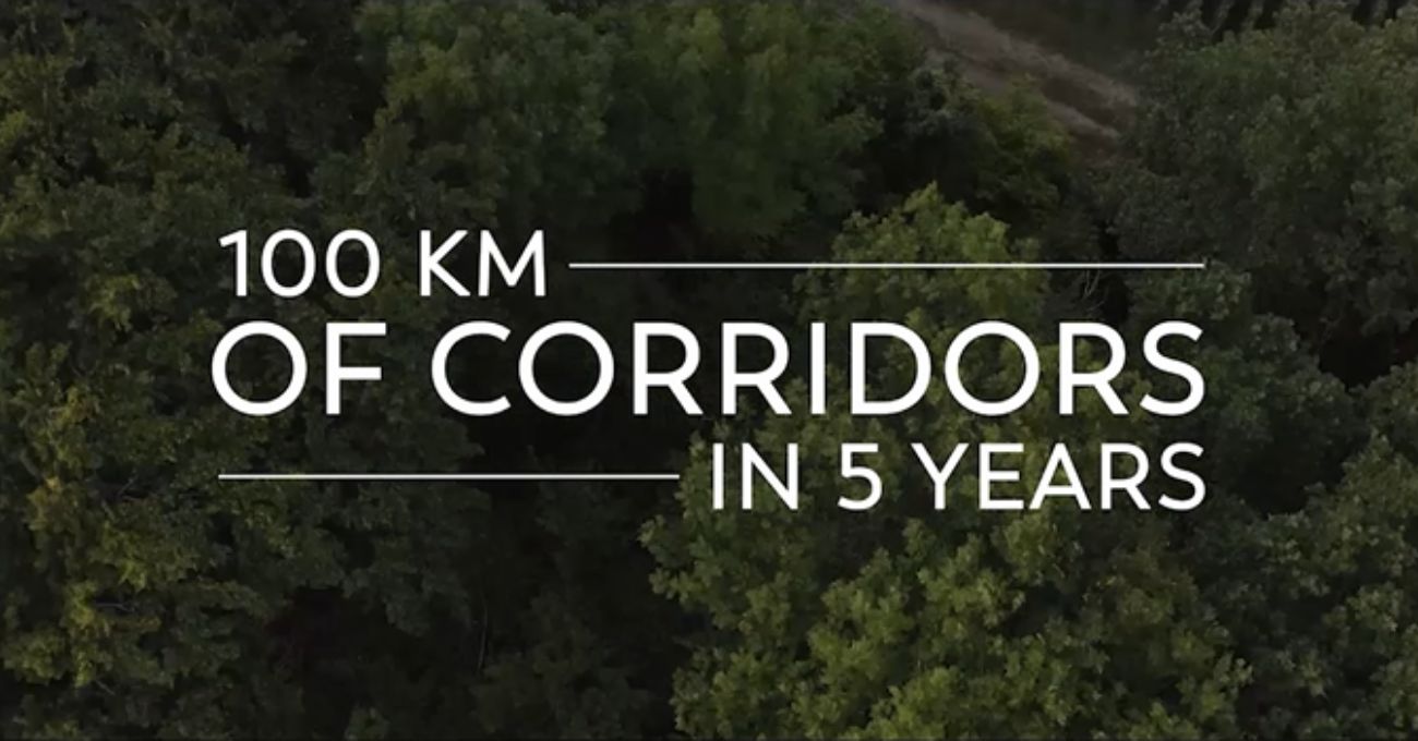 Moet & Chandon (Agence DACOR.) Studios Bellagio l’enregistrement de voix off