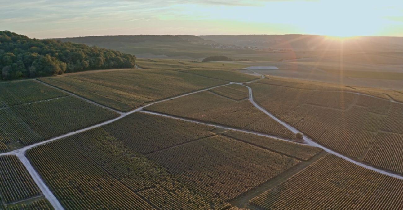 Möet Hennessy uk video studios bellagio La voix off en anglais et français